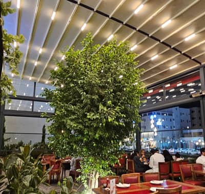 Terrace 2