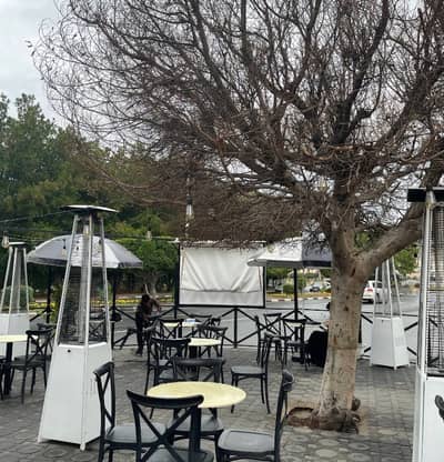 Wise Cafe Taif