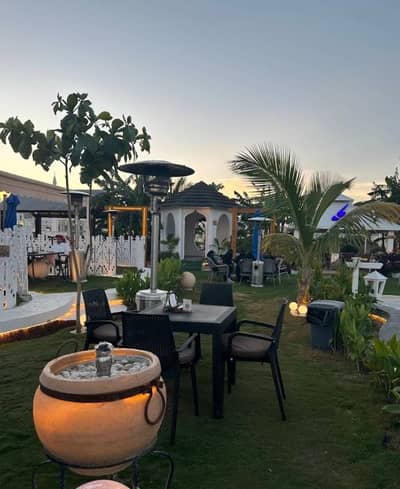 Oryx Lounge Taif