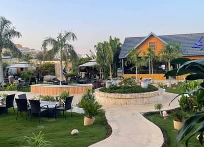 Oryx Lounge Taif