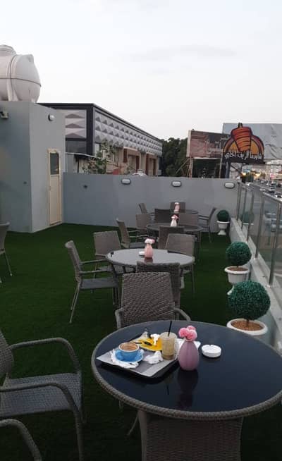 Terrace 1