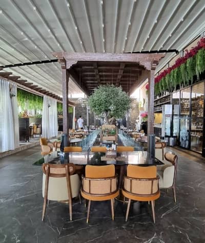 Aylul Lebanon Restaurant