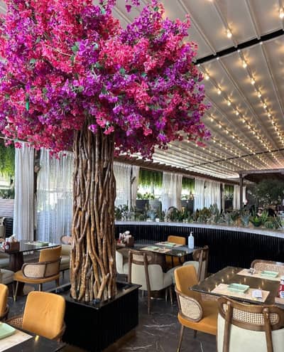 Aylul Lebanon Restaurant