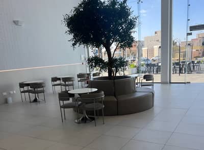 Cafe