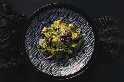 Food Photos