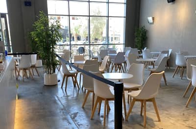 Cafe