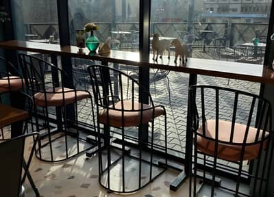 Cafe