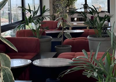 Cafe