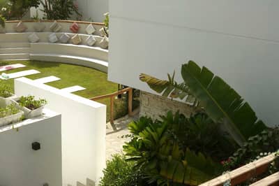 Garden (Outdoor Area)