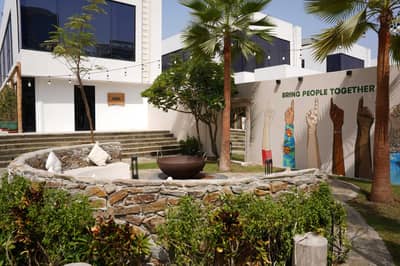 Garden (Outdoor Area)