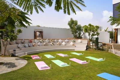 Garden (Outdoor Area)