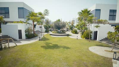 Garden (Outdoor Area)