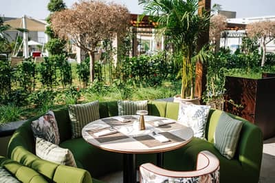 Terrace 1