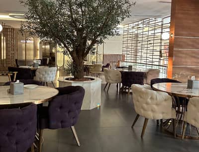 Cafe