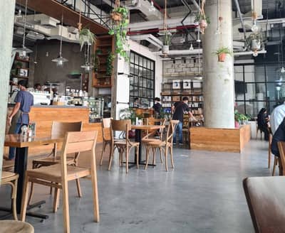 Cafe