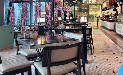 Maia Lounge Mall Of Qatar