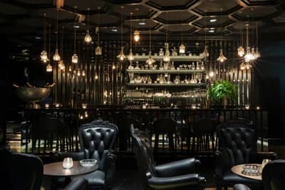Black Orchid Doha