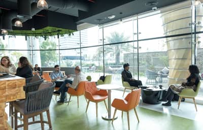 Cafe