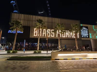 Brass Monkey Bluewaters