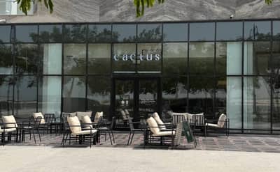 Cactus coffee house Lusail