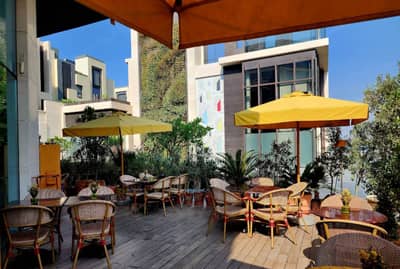 Terrace