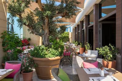 Indigo Terrace