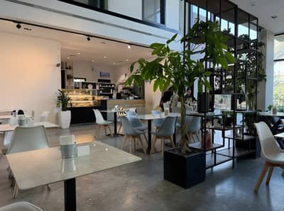 Cafe