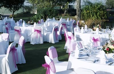 Garden and Lawn
