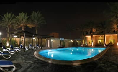 Pool Deck