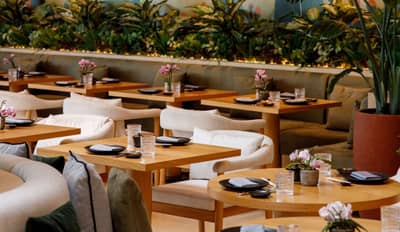Novikov Doha Restaurant  Beach Club Doha