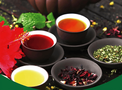 Stassen Tea Lounge