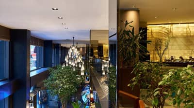 Lasagrada Hotel Istanbul - a lobby with plants and a building with a christmas tree at Lasagrada Hotel Istanbul in Istanbul