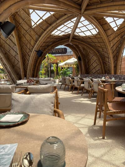 Poolside Terrace