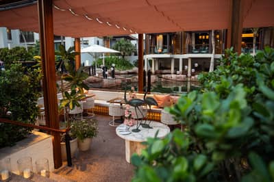 African Lounge Terrace