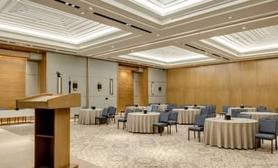 Meeting Plus 1