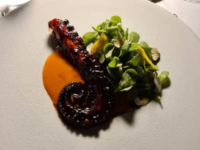 Food Photos
