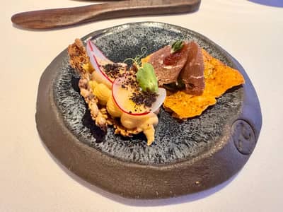 Food Photos