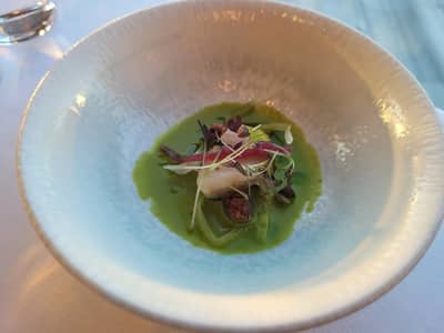 Food Photos