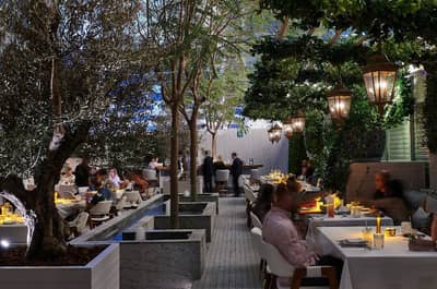 Terrace