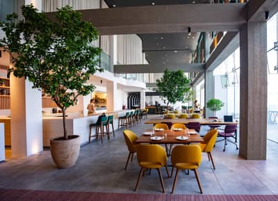 Taparelle Restaurant