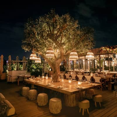 Elegant outdoor dining at Surf Club Dubai under illuminated tree.