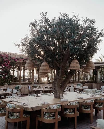 Outdoor dining area with tree centerpiece at Surf Club Dubai.