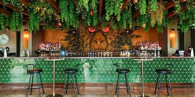 Monkey Bar Dubai interior with green tiles and hanging plants.