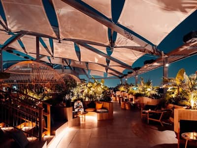 Stylish rooftop lounge with plants and seating at Monkey Bar Dubai.
