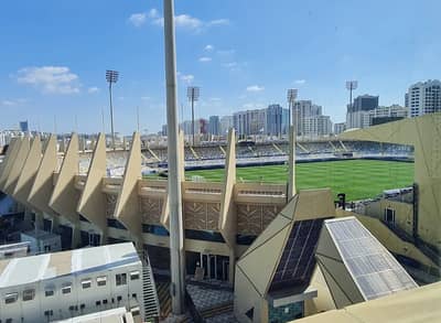 Al Nahyan Stadium with green field, Abu Dhabi skyline in background.