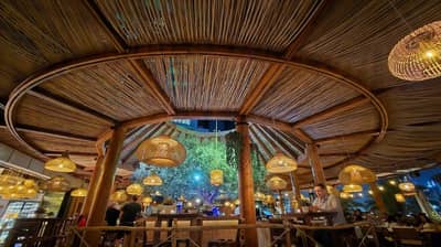 Ula Dubai Beach Club interior with bamboo ceiling and hanging lights.