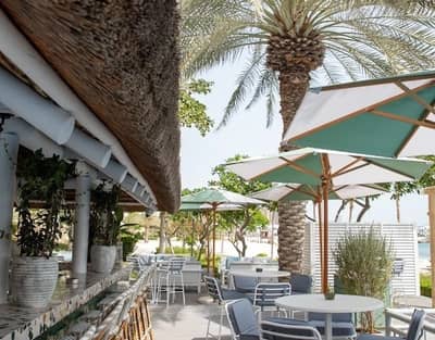 Shaded outdoor seating with greenery at Byron Bathers Beach Club, Dubai.