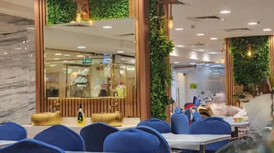 Zaitoon Restaurant Madinah interior with blue chairs and green decor.