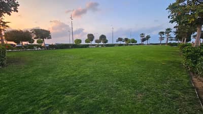 Dubai Islands Marina events lawn