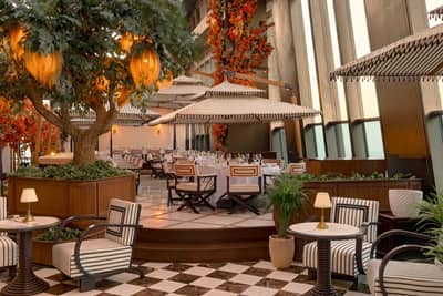 Lion in the Sun Dining Terrace